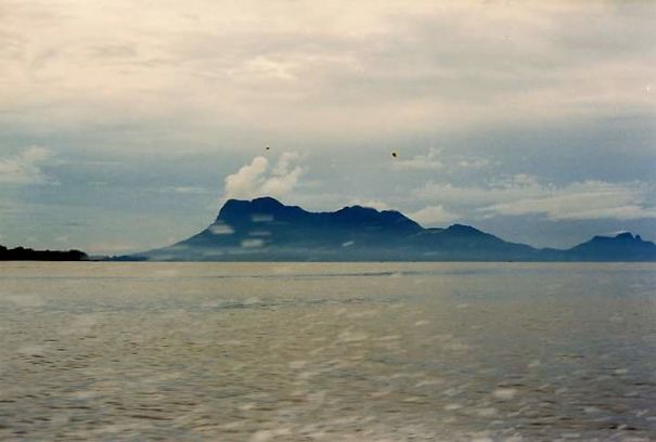 Picture Taken From A Motor Boat In Bako National Park, Malaysia Ends Up Looking Like A Painting