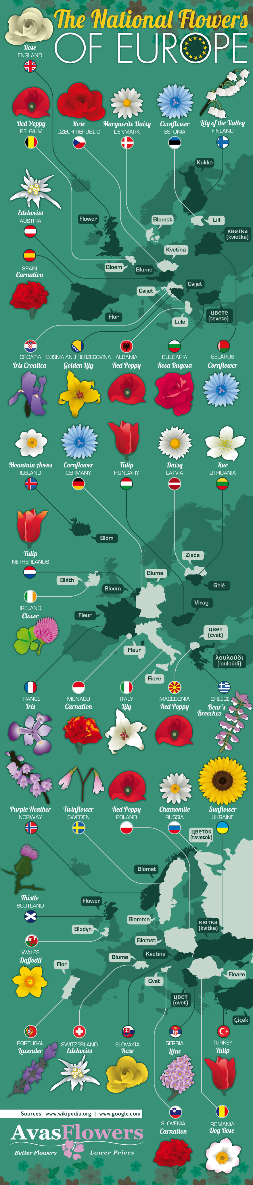 Found This Cool Map Of European National Flowers