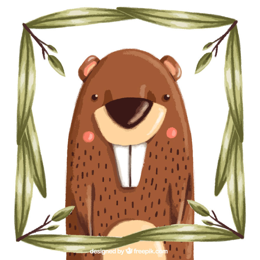 10 Hand Painted Cute Forest Animals To Download For Free 10 Hand Painted Cute Forest Animals To Download For Free