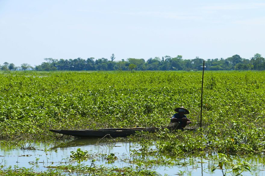 Haors (vast Watery Land) Of Bangladesh Haors (vast Watery Land) Of Bangladesh