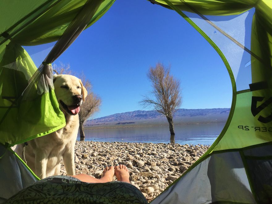 Me And My Dog Spent More Than 250 Nights Under The Stars Camping Across North America