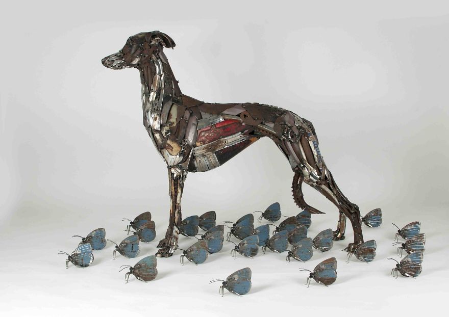 I Recycled Old Bicycles Into A Whippet