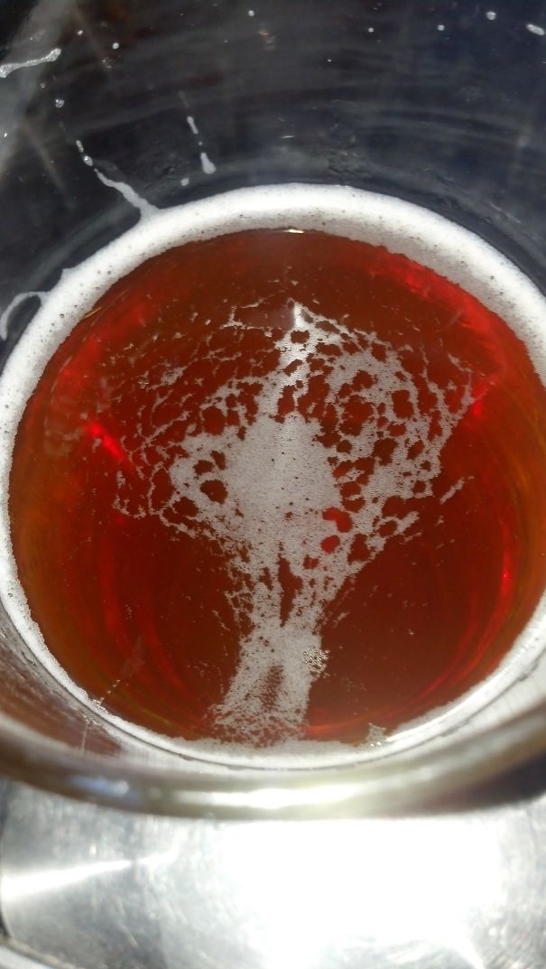 A Tree In My Ipa