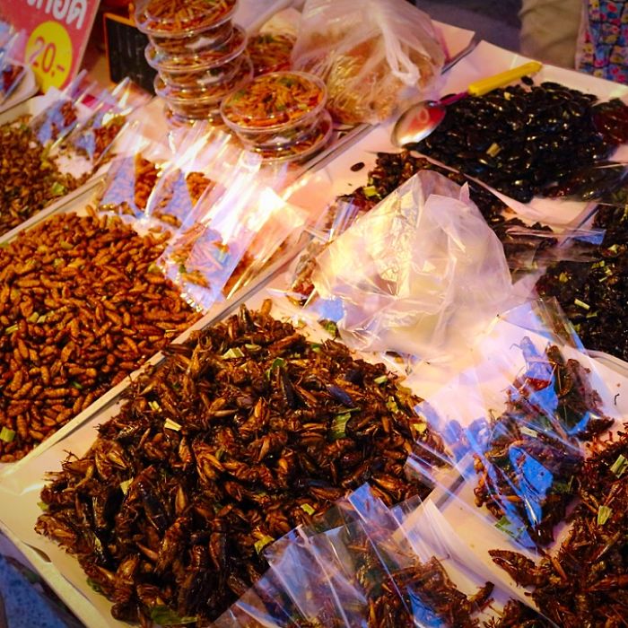 Top 15 Weirdest Food From South East Asia