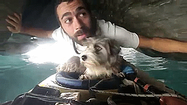I Quit My Job To Kayak The Mediterranean Sea And Took A Dog (3 Years & 5000km So Far)
