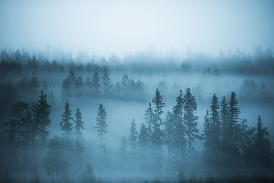 Swedish Photographer Captures Scenes Untouched By Humans