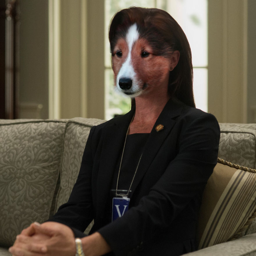 We Reimagined House Of Cards Cast As Dogs