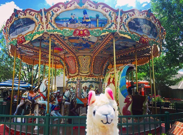 What About Carousels With Llamas Instead Of Horses?