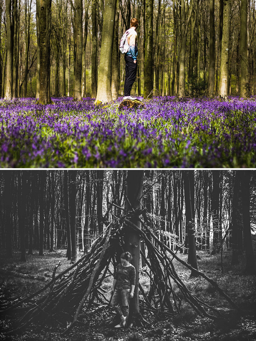 Our Adventure Into The Enchanted Bluebell Woods In Hampshire, England