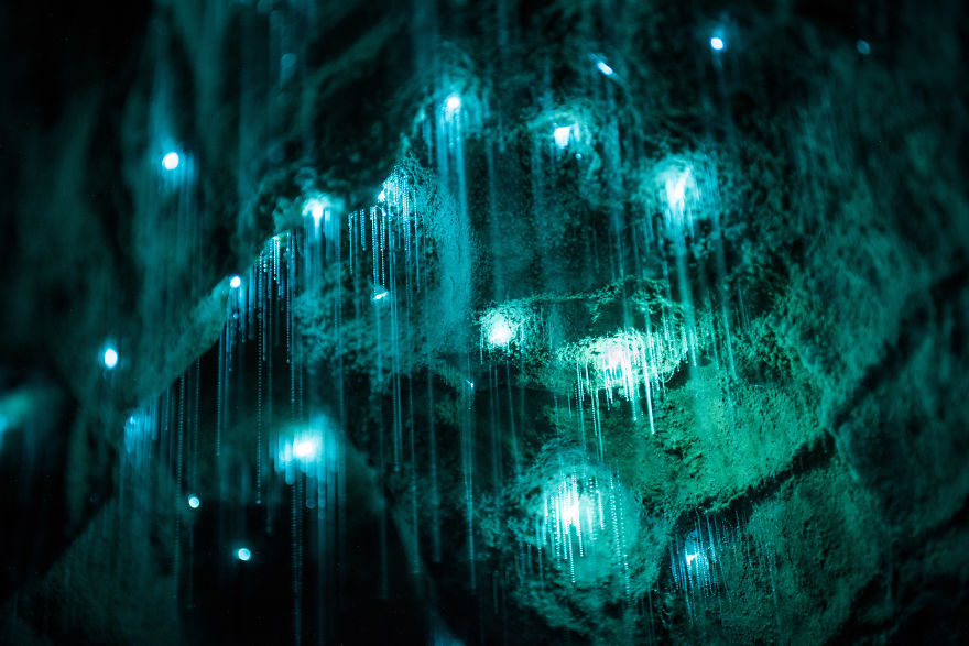 Glow Worms Turn New Zealand Cave Into Starry Night And I Spent Past Year Photographing It