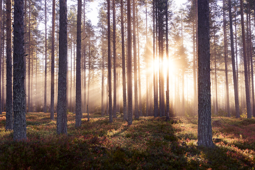 Swedish Photographer Captures Scenes Untouched By Humans