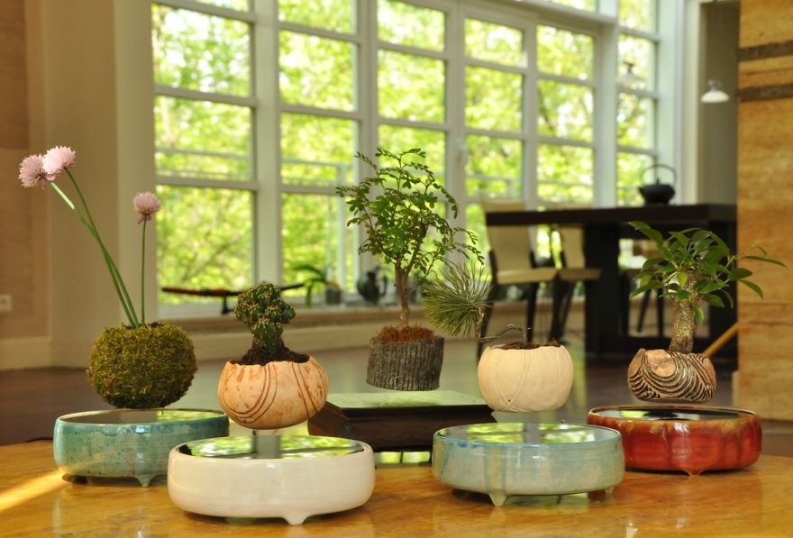 Your Own Levitating Zen Garden Is Now Avaliable In Europe!