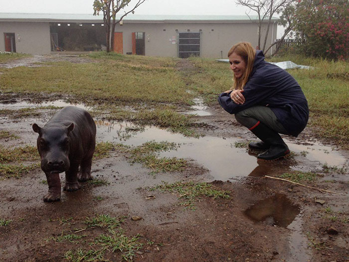 abandoned-hippo-baby-charlie-thula-rhino-orphanage-7