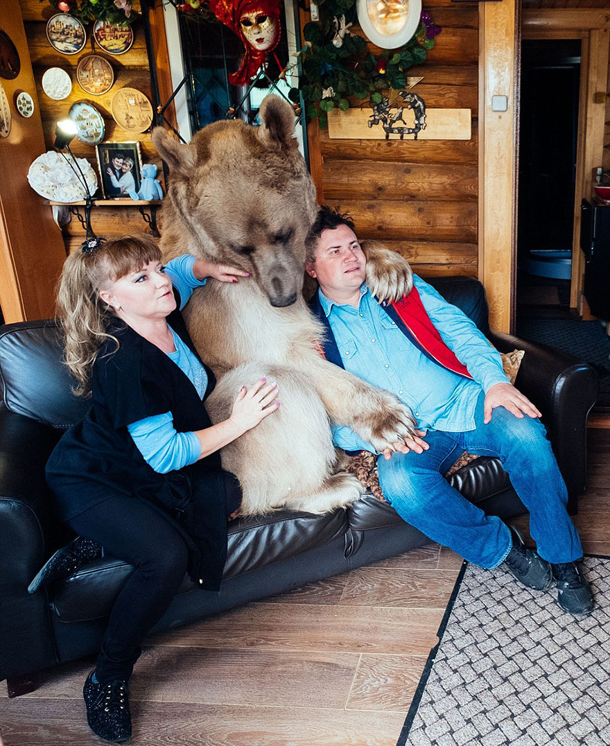 Russian Couple Adopted An Orphaned Bear 23 Years Ago, And They Still Live Together