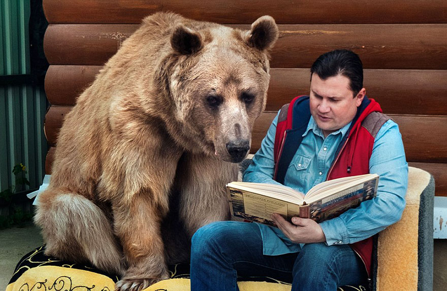 This Russian Couple Adopted An Orphaned Bear 23 Years Ago | Bored Panda