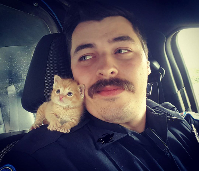 Cop Rescues Kitten Left In The Rain And Now They're Fighting Crimes Together