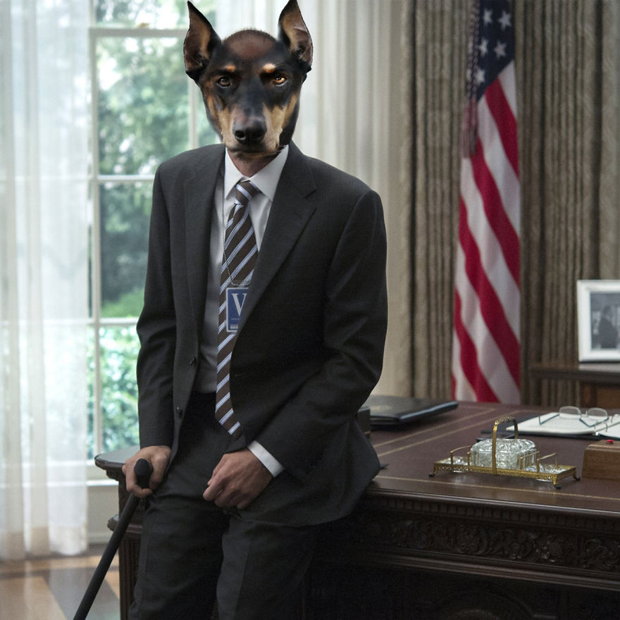 We Reimagined House Of Cards Cast As Dogs