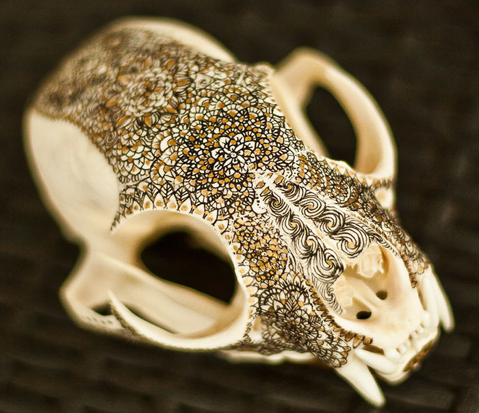 I Decorate Skulls With Golden Mandalas To Honour Fallen Creatures