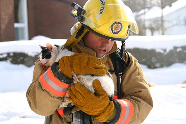 A Firefighter Saves The Cat