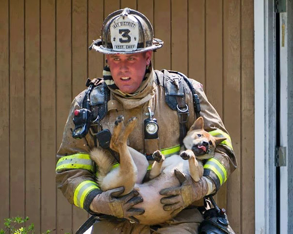 Firefighter Rescuing Pet