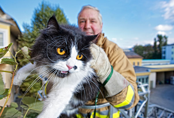 Firefighter Cat Rescue, Firefighter Squad Klagenfurt