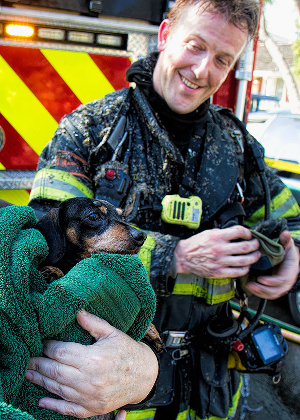San Jose Firefighters Saved A Family Pet