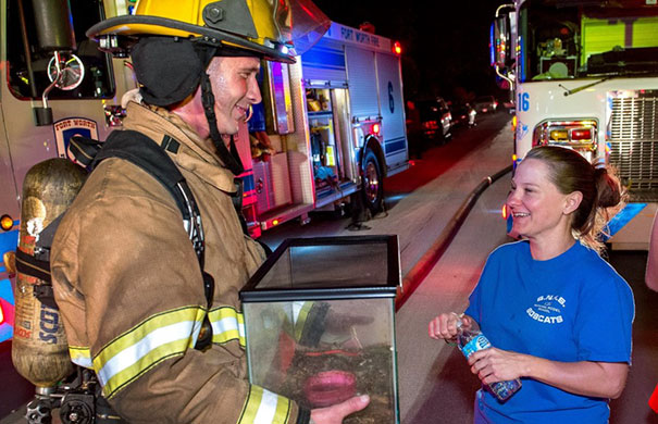 The Fort Worth Crew Firefighters Have Saved Many Dogs And Cats, But This Was The First Pet Frog That Needed Rescuing