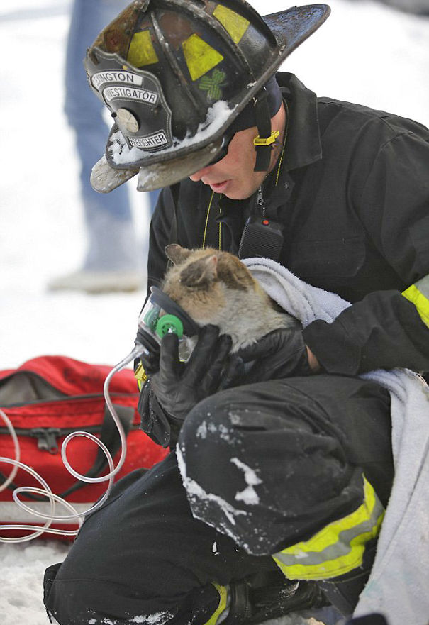 Firefighter Administers Oxygen To Prissy The Cat After The House Fire