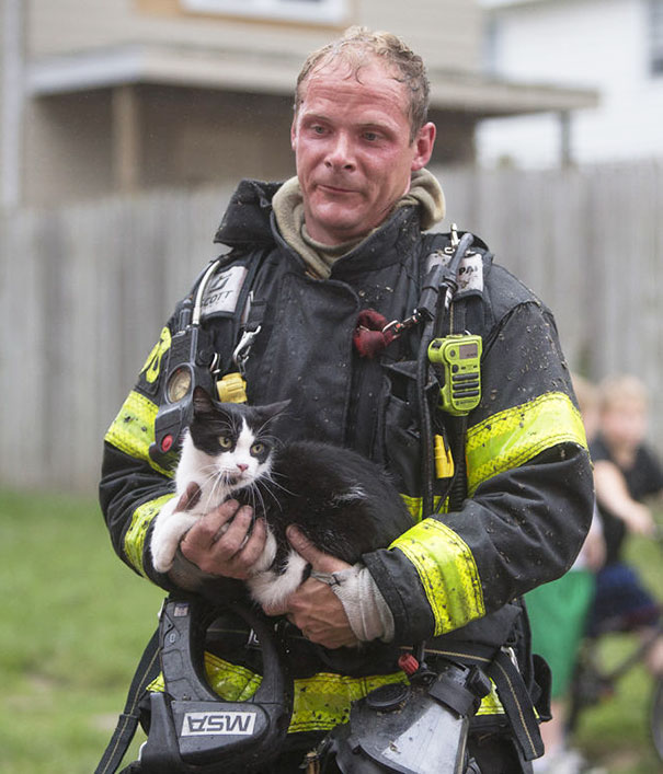 Firefighter Rescuing A Cat