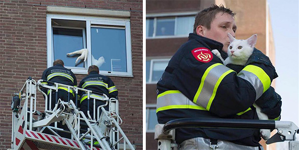Cat Stuck In Window Is Saved By Firefighters