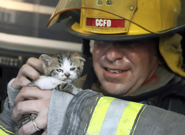 Corpus Christi Fire Department Captain John Leahey Examines One Of Two Cats Rescued From A Duplex Fire