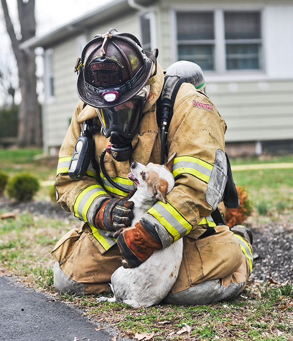 Firefighter Scott Dawson Kneels Down With Finn, A Chihuahua Mix, After Pulling Him Out Of A House Fire In Bloomsburg