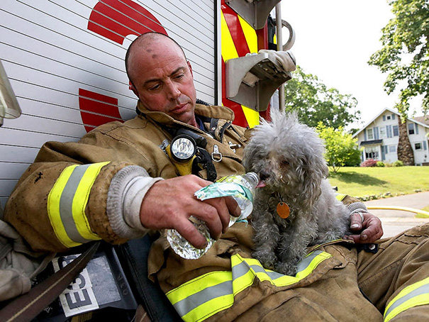 Firefighter With The Dog He Rescued From A Burning Home In Connecticut Last Friday