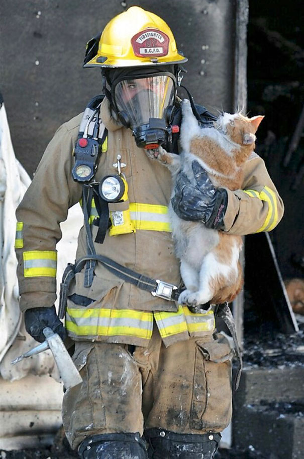 Bowling Green, Ky., Firefighter Jacob Lee Rescues A Cat From A Fire At An Apartment Complex