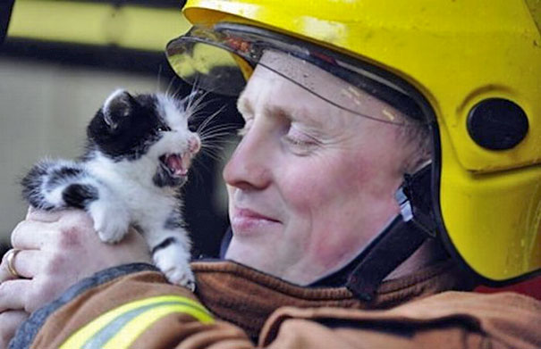 Firefighter Rescuing Small Kitty