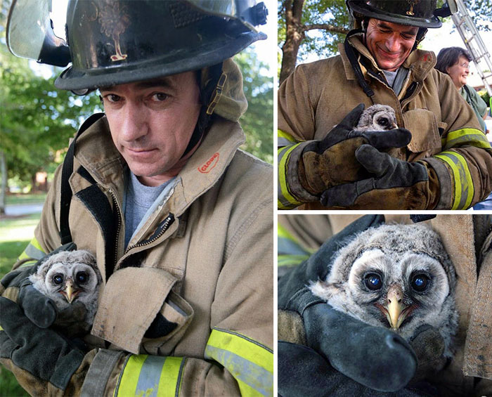 48 Firefighters Who Risked Their Lives To Save Animals