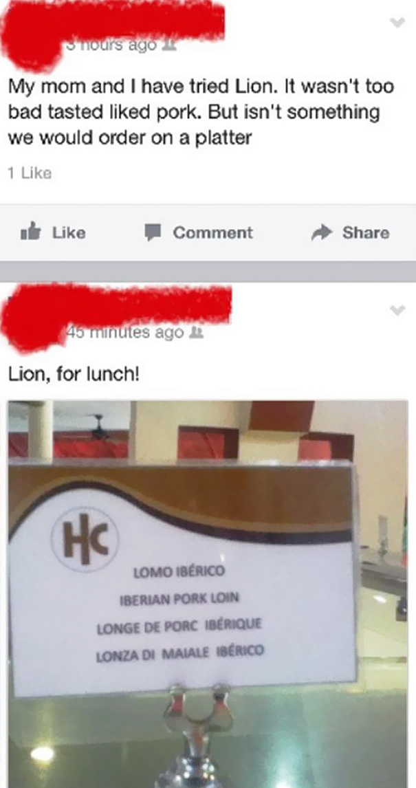 Lion For Dinner ?