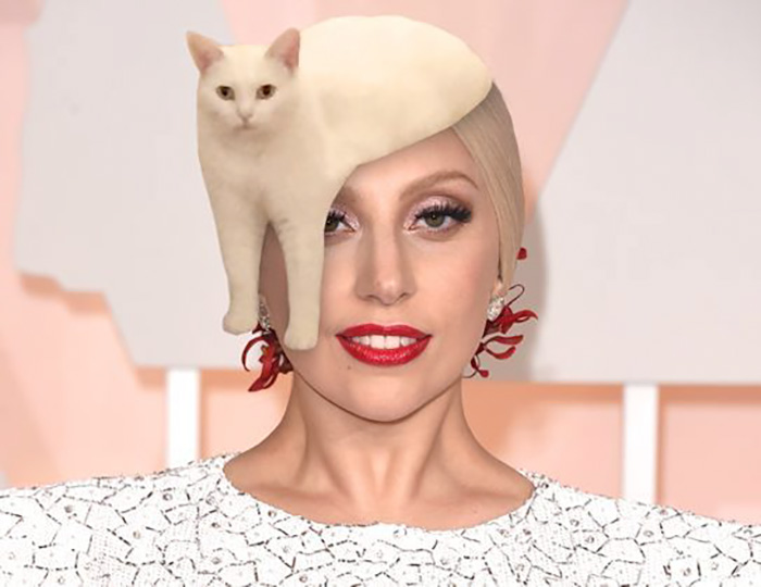 Gaga Cat Hat