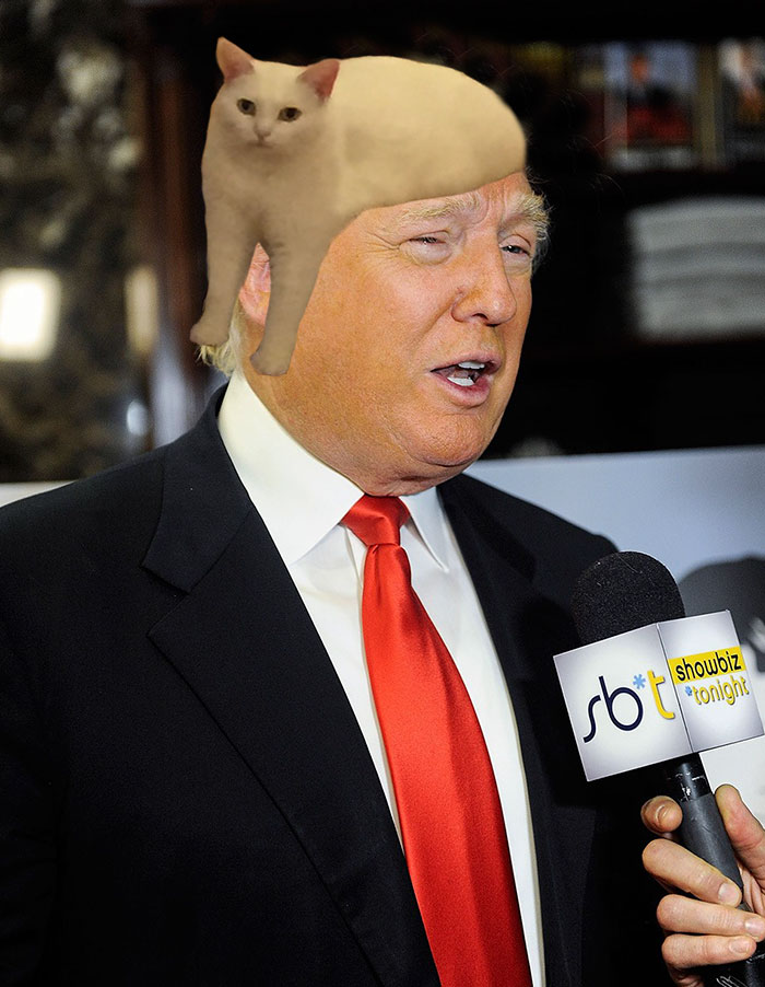 The Secret Of Trumps Wig