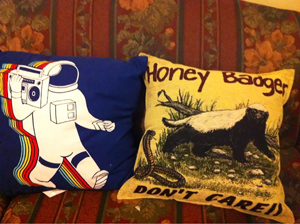Asked My Husband To Pick Up Some Throw Pillows Today. These Are What He Brought Home