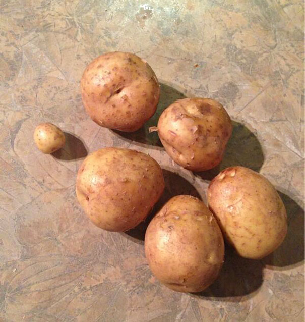 So I Asked My Husband To Buy 6 Potatoes