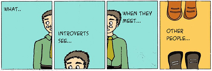 What Introverts See