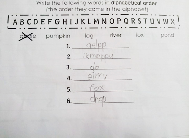 Second Grader's Homework