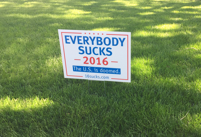 33 Funny Voting Signs Express What People Really Think About These Elections