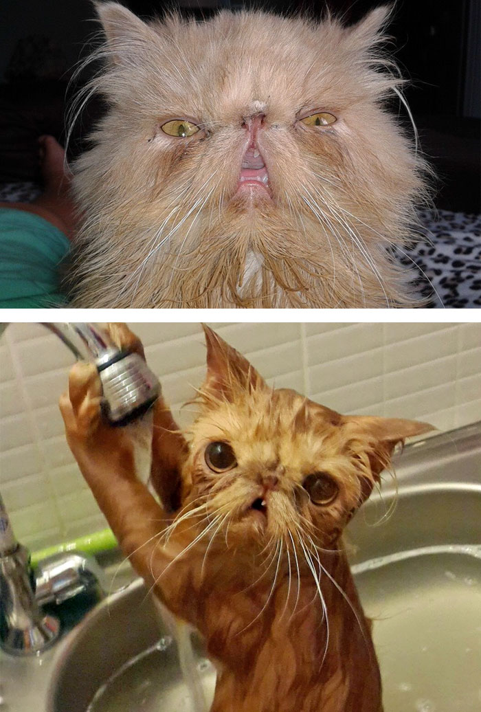 Before Vs. After Bath