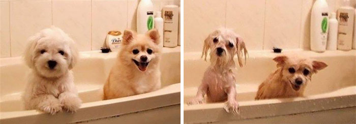 Bath Time - Before And After