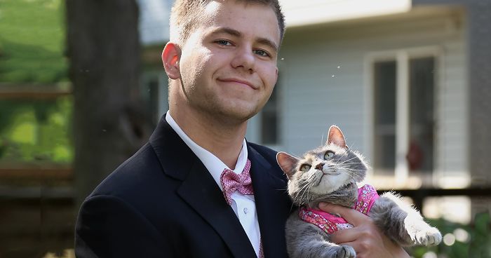 Guy Couldn't Find A Date For Prom So He Took His Cat Instead | Bored Panda