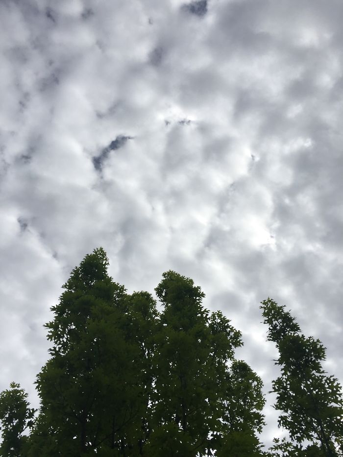 Iphone Photography #1