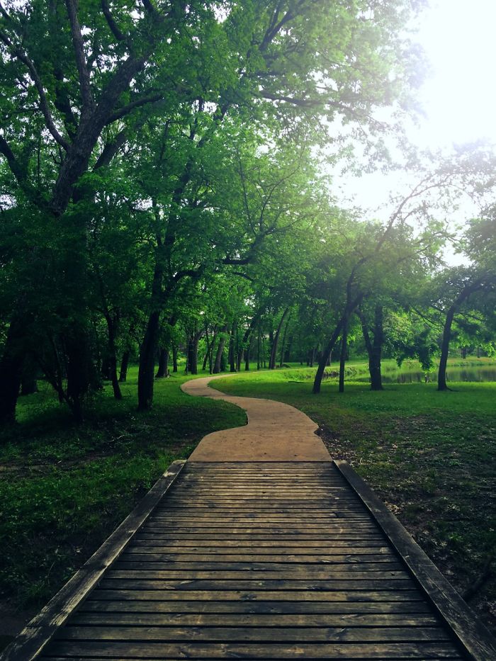 Iphone Photography #1
