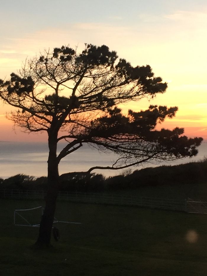 Chale Views Isle Of Wight
